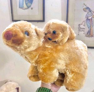 ✅ 5 Imported High Quality Plush Toys 🧸
