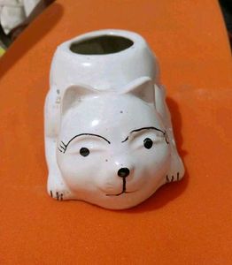 Cute cat  Face Planter