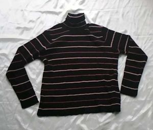 Striped Turtleneck Sweater