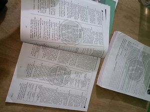 NEET Rankers Test Series 2025 Solution
