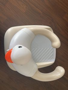 Baby Duck Walker &amp; Toy