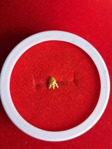 Elegant Gold Nose Pin