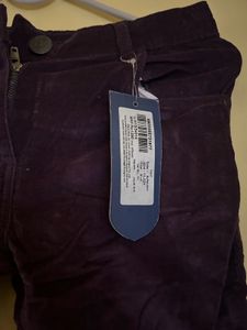 Purple Corduroy Slim Fit Pants