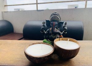 2 Coconut Shell Candles