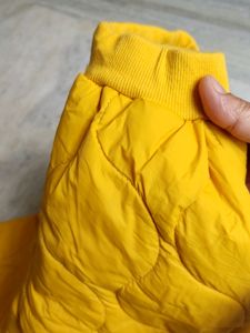 Quilted Pants