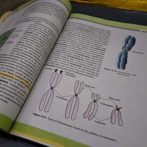 Biology Textbook for Class XI, XII