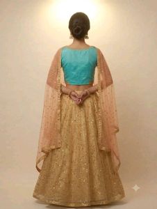 Sparkling Golden Lehenga Choli