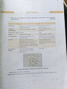 spiral binding notes FARRE 2.0 2 ND PROFF