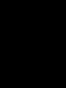 Flag 3