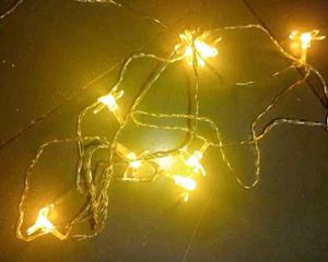 14 LED 3 Meter Warm White Silicone Blossom Flower