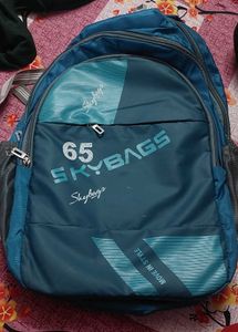 Skybags Backpack