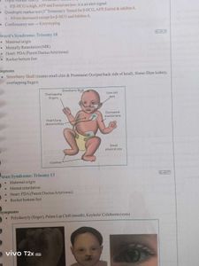 Structured Notes Pathology - Dr. Preeti Sharma