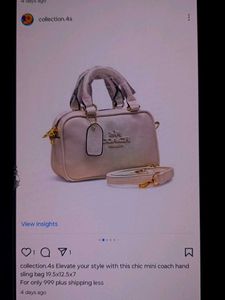 Chic Mini Coach