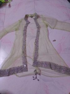 Elegant Pastel Green Lahenga Choli ..!!