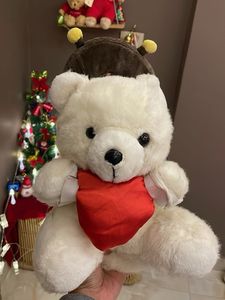 Cute Plush Bear