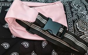A Pink Colour Waist Bag