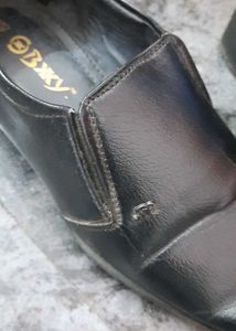 Shoe