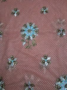 Embellished Net saree