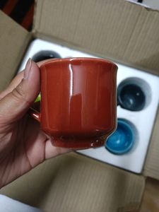New Set Of 6 Cups