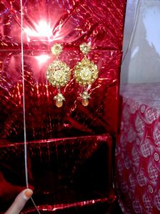 Exquisite Dangle Earrings with Crystals