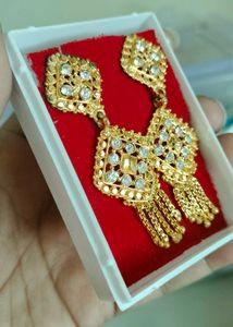 Gold-toned Dangle Earrings with Stones