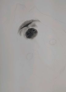 Cute Puppy Pencil Sketch