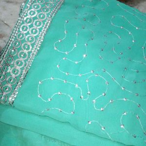 Beautiful Saree  and blouse with Silver Embel