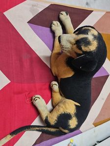 Cute Plush Dog Toy