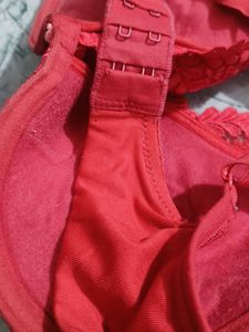 Beautiful Red Embroidered Bra phusup