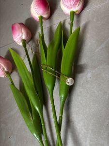 Elegant Pearl Necklace