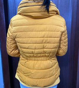 zara Mustard Puffer Jacket