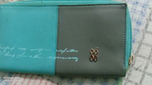 Baggit Brand zipper Clutch