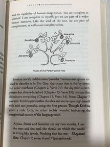 MY GITA BY DEVDUTT PATTANAIK