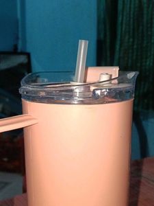 Large Tumbler with Straw