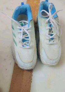 Blue &amp; White Casual Sneakers