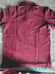 branded Men's Polo Shirts (2 Pack)