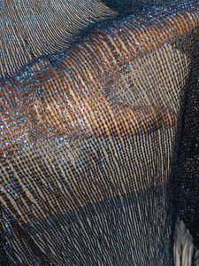 Sparkling Blue Fringe Scarf