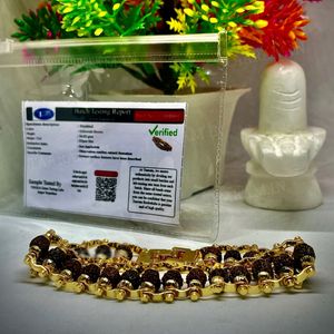 Combo Offers Of Rudraksha For Diwali 🎇🪔