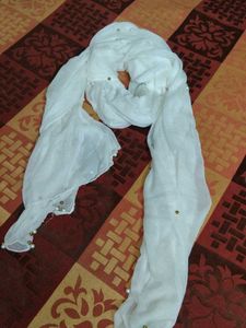 Elegant White Beaded  Dupatta