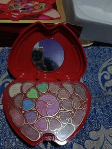 New 4 in 1 Make-up Palette