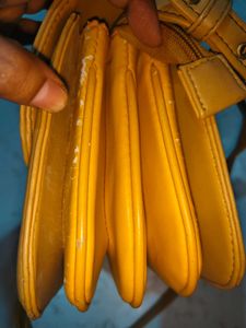 Tan Crossbody Exotic Bag with Silver Clasp