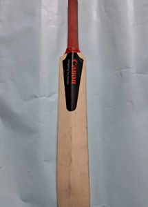 Sachin Tendulkar Canon Mini Bat