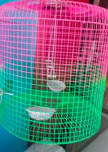 Birds Cage ( Pijara)