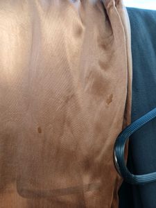 Brown Wide Leg Fromal trousers