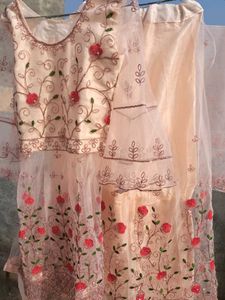 Elegant Embroidered Sarara Shuit