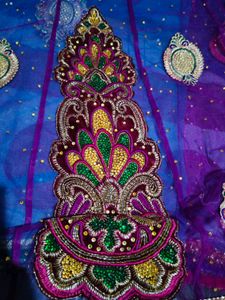 Elegant Embellished Lehenga Choli Set