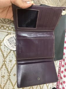 Fastrack Ladies Wallet - Purple