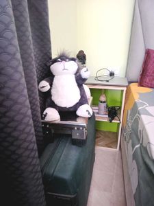 soft toy oggy