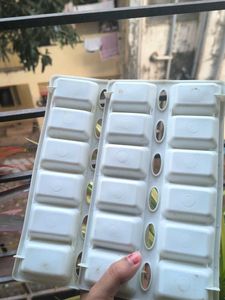 Ice Cube Trays - Set of 2
