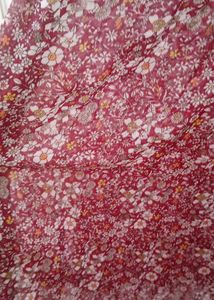 Red Flare Floral Dress With Balloon Sleeves